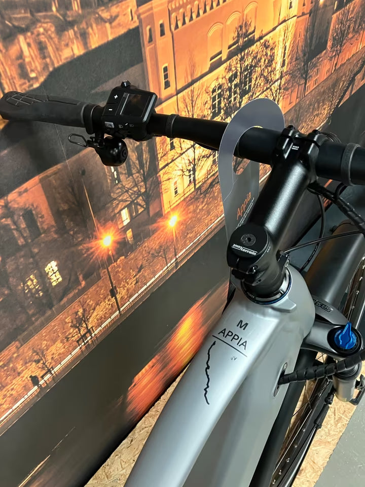 Tout Terrain Appia Select 4.1 – Premium E-Trekking-Bike mit Pinion-Antrieb und 700 Wh Akku Cromo Lucido Matt