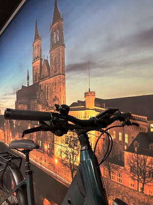 Flyer Gotour EL 3.12 XC