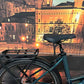 Flyer Gotour EL 3.12 XC