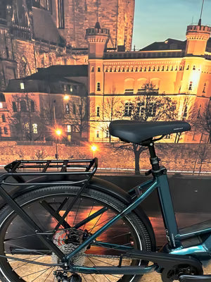 Flyer Gotour EL 3.12 XC