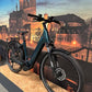Flyer Gotour EL 3.12 XC