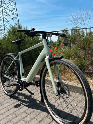 Hochwertige FLYER E-Bikes FLYER Upstreet SL 3.10 Gents Frosty
