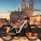 Tout Terrain Appia Select 4.1 – Premium E-Trekking-Bike mit Pinion-Antrieb und 700 Wh Akku Cromo Lucido Matt