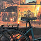 Flyer Gotour EL 3.12 XC