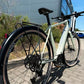Hochwertige FLYER E-Bikes FLYER Upstreet SL 3.10 Gents Frosty