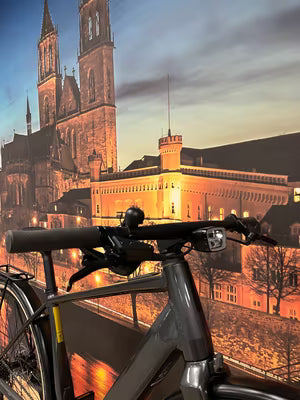 Hochwertige FLYER E-Bikes FLYER Upstreet SL 3.10