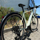 Hochwertige FLYER E-Bikes FLYER Upstreet SL 3.10 Gents Frosty